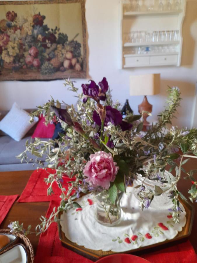 Apartament La Casa Di Paride Greve in Chianti Zewnętrze zdjęcie