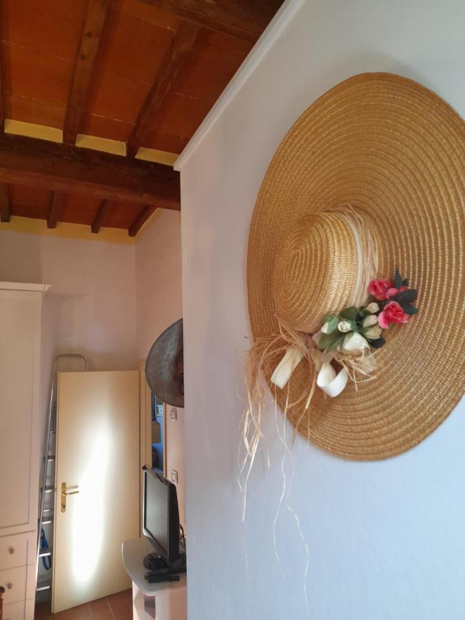 Apartament La Casa Di Paride Greve in Chianti Zewnętrze zdjęcie