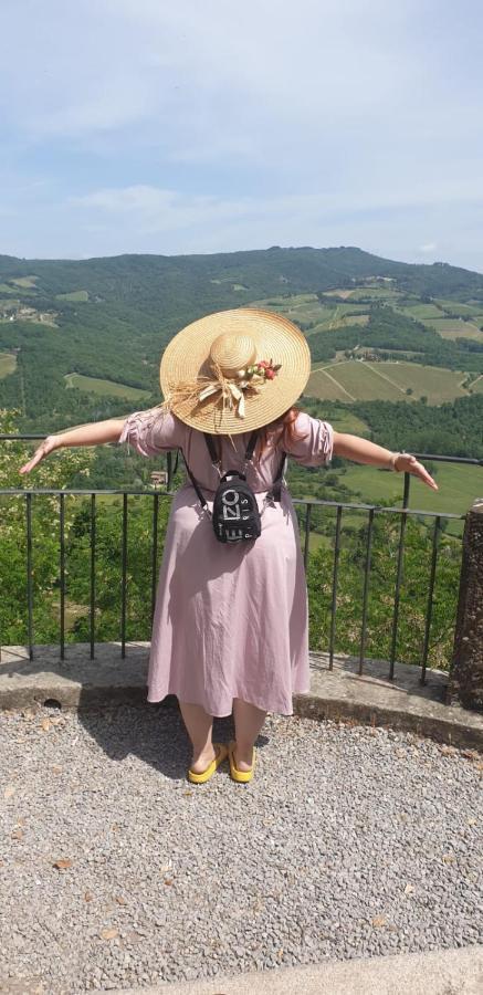 Apartament La Casa Di Paride Greve in Chianti Zewnętrze zdjęcie